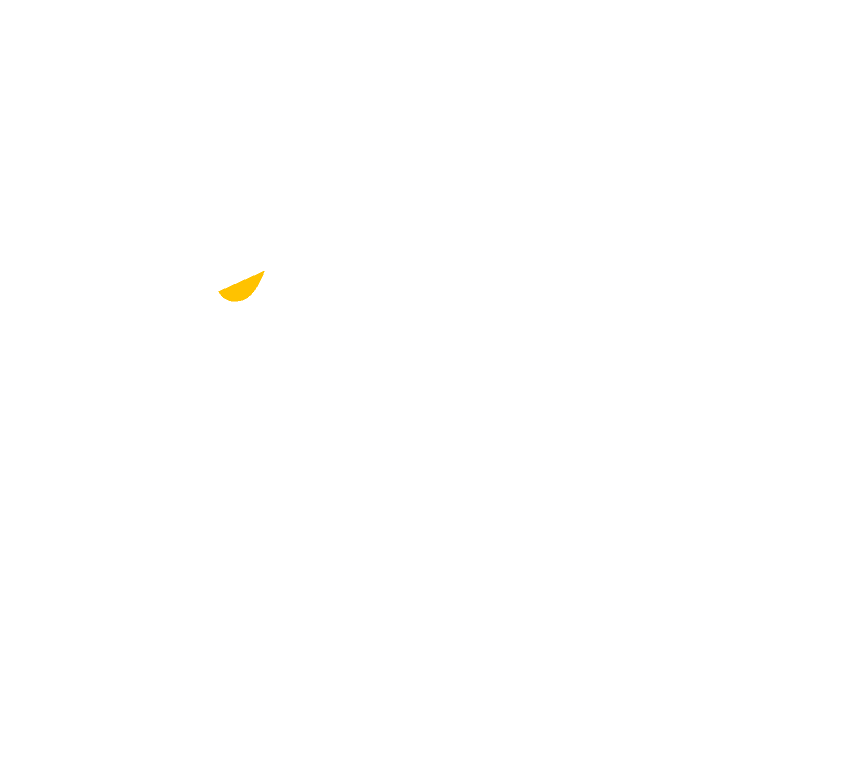 Lion Mode Logo